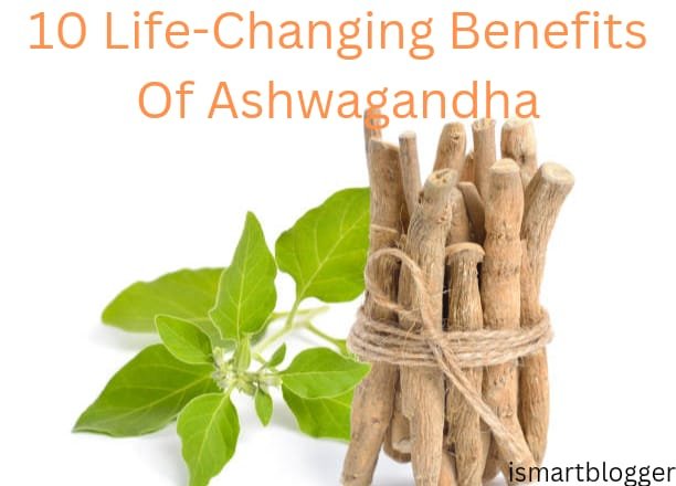 10 Life-Changing Benefits Of Ashwagandha