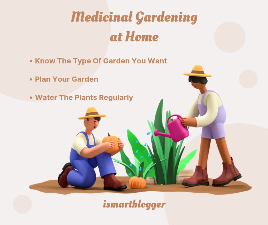 How Can You Start Medicinal Gardening At Home Or In Your Backyard