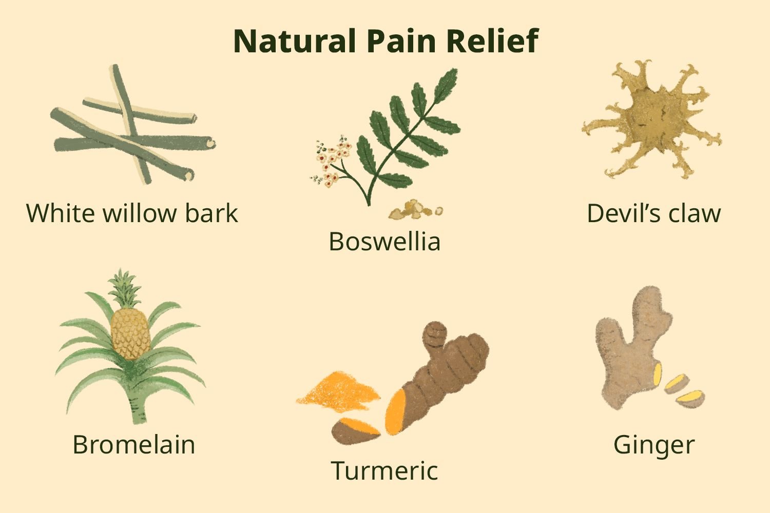 6-herbal-remedies-for-natural-pain