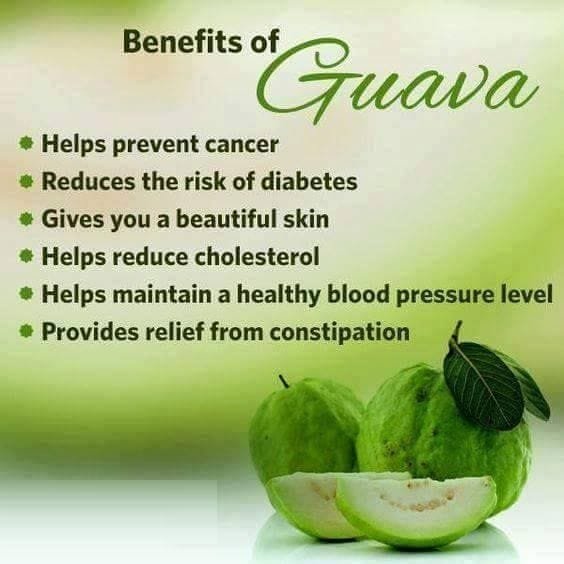 Guava Fruit and Guava Leaves Health Benefits